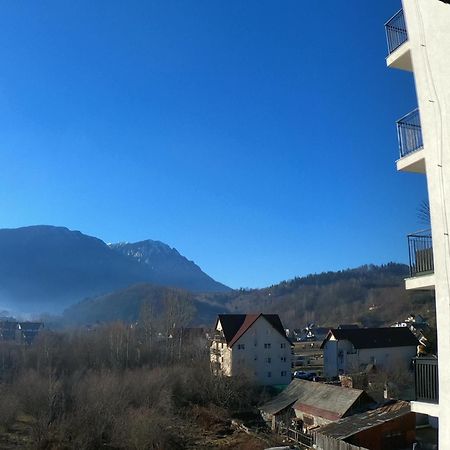 Panoramic Residence Zărneşti Dış mekan fotoğraf