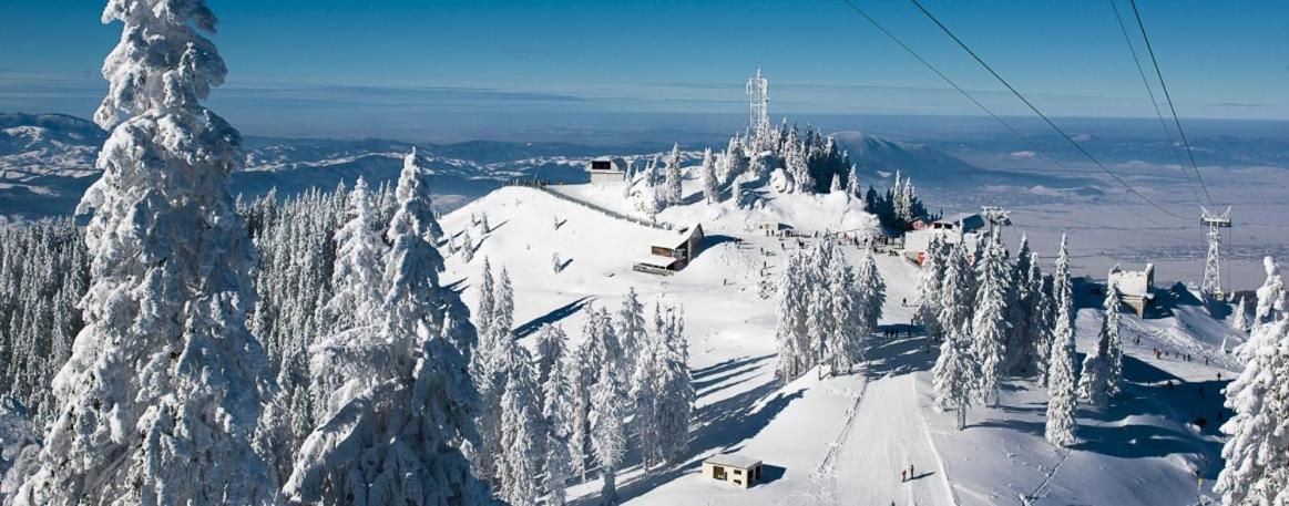 Panoramic Residence Zărneşti Dış mekan fotoğraf