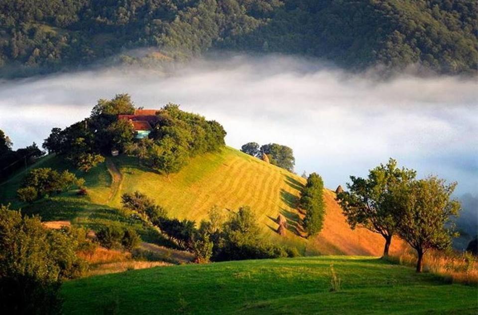 Panoramic Residence Zărneşti Dış mekan fotoğraf