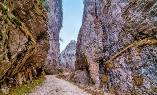Panoramic Residence Zărneşti Dış mekan fotoğraf