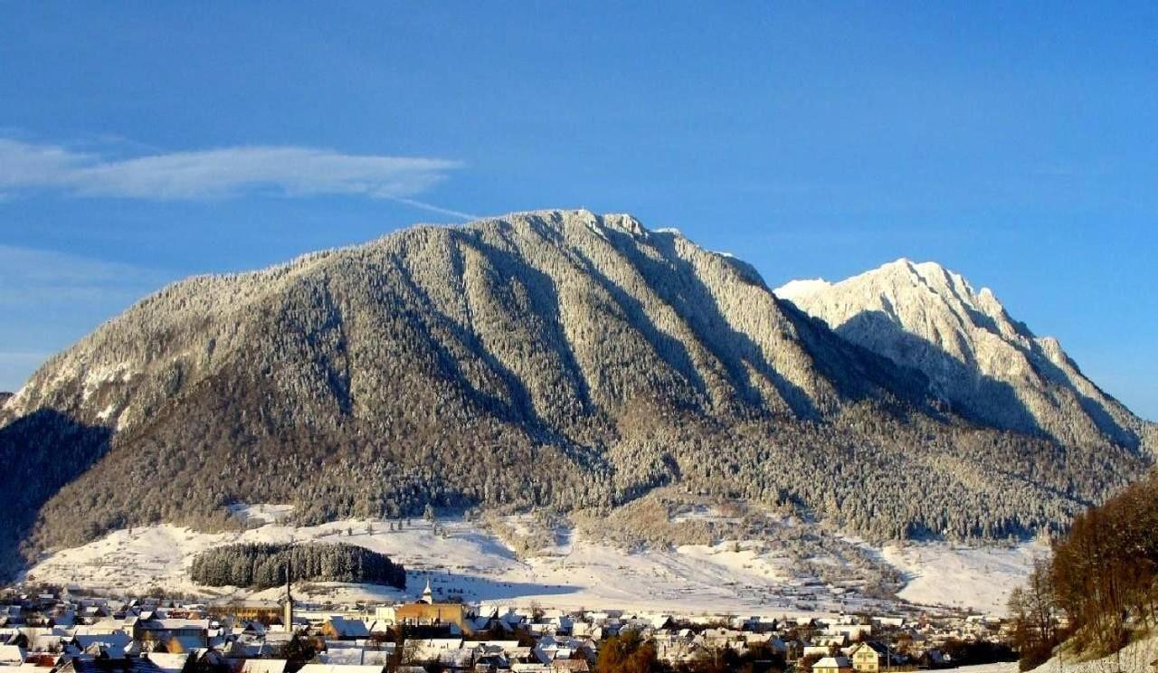 Panoramic Residence Zărneşti Dış mekan fotoğraf
