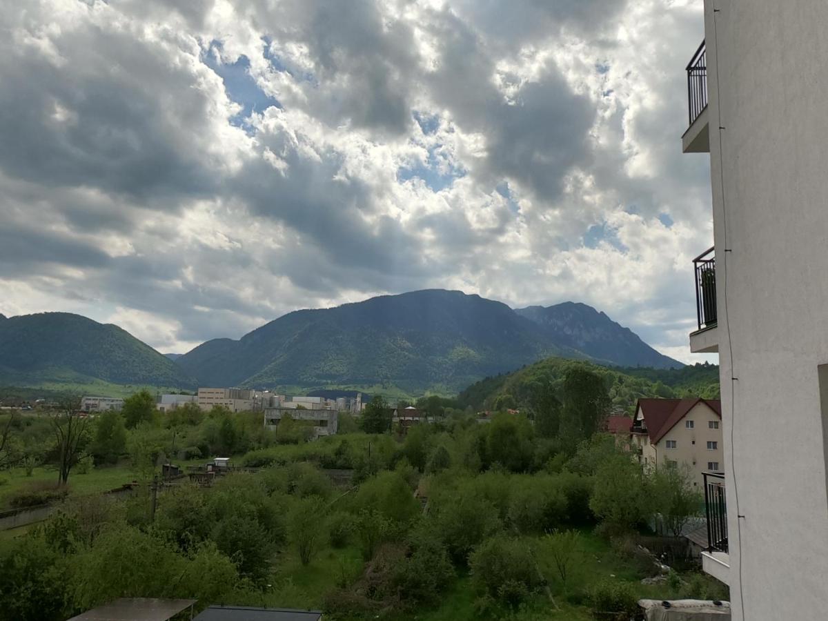 Panoramic Residence Zărneşti Dış mekan fotoğraf